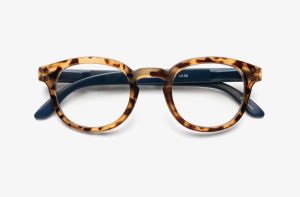 Blue Ban Readers Tortoise
